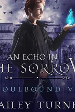 An Echo in the Sorrow (Soulbound #6)