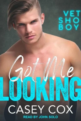 Got Me Looking (Vet Shop Boys #3)