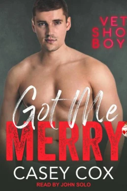 Got Me Merry (Vet Shop Boys #6)