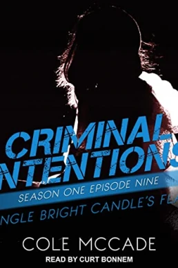 A Single Bright Candle's Flame (Criminal Intentions #9)