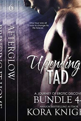 Upending Tad, Bundle 2: Volumes 4, 5, 6