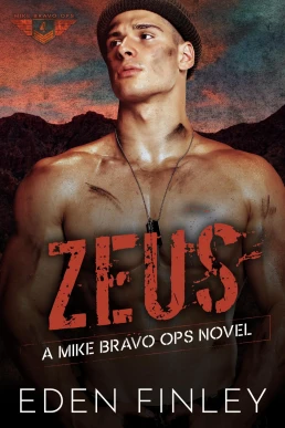 Mike Bravo Ops: Zeus