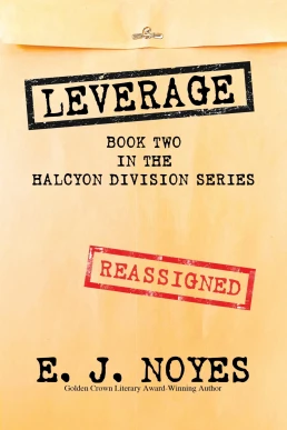 Leverage