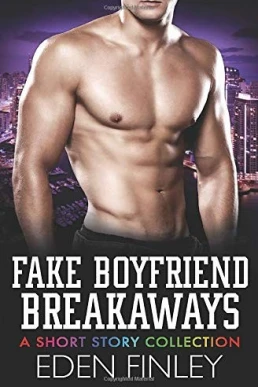 Fake Boyfriend Breakaways: A Short Story Collection