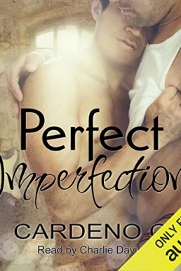 Perfect Imperfections