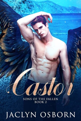 Castor ( Sons of the Fallen #2)