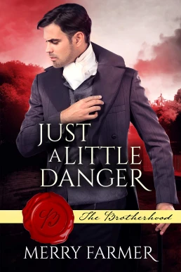 Just a Little Danger (The Brotherhood #3)