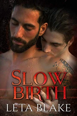 Slow Birth ( Heat of Love #2.5)