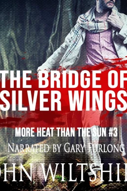 The Bridge of Silver Wings: More Heat Than the Sun, Book 3