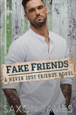 Fake Friends (Never Just Friends #2)