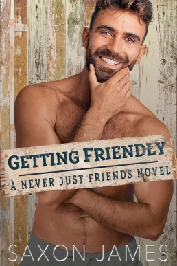 Getting Friendly (Never Just Friends #3)