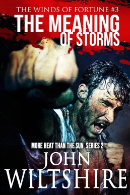 The Meaning of Storms (The Winds of Fortune #3)