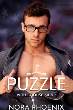 Puzzle (White House Men #6)