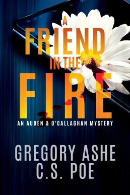 A Friend in the Fire (An Auden & O'Callaghan Mystery #2)