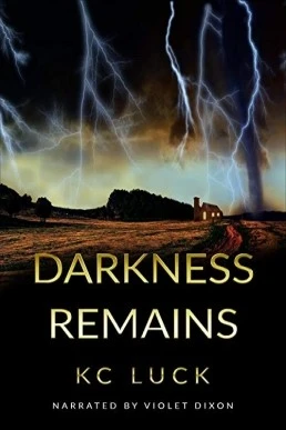 Darkness Remains (The Darkness Series #2)