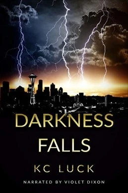 Darkness Falls (The Darkness Series #1)