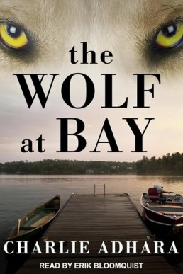 The Wolf at Bay (Big Bad Wolf #2)